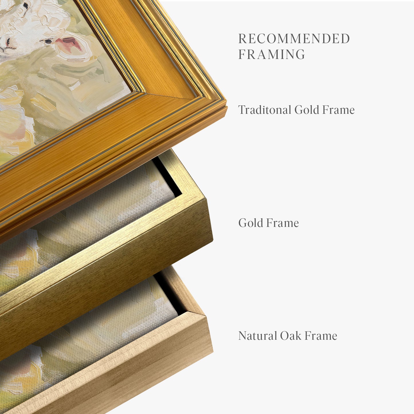 framed-canvas