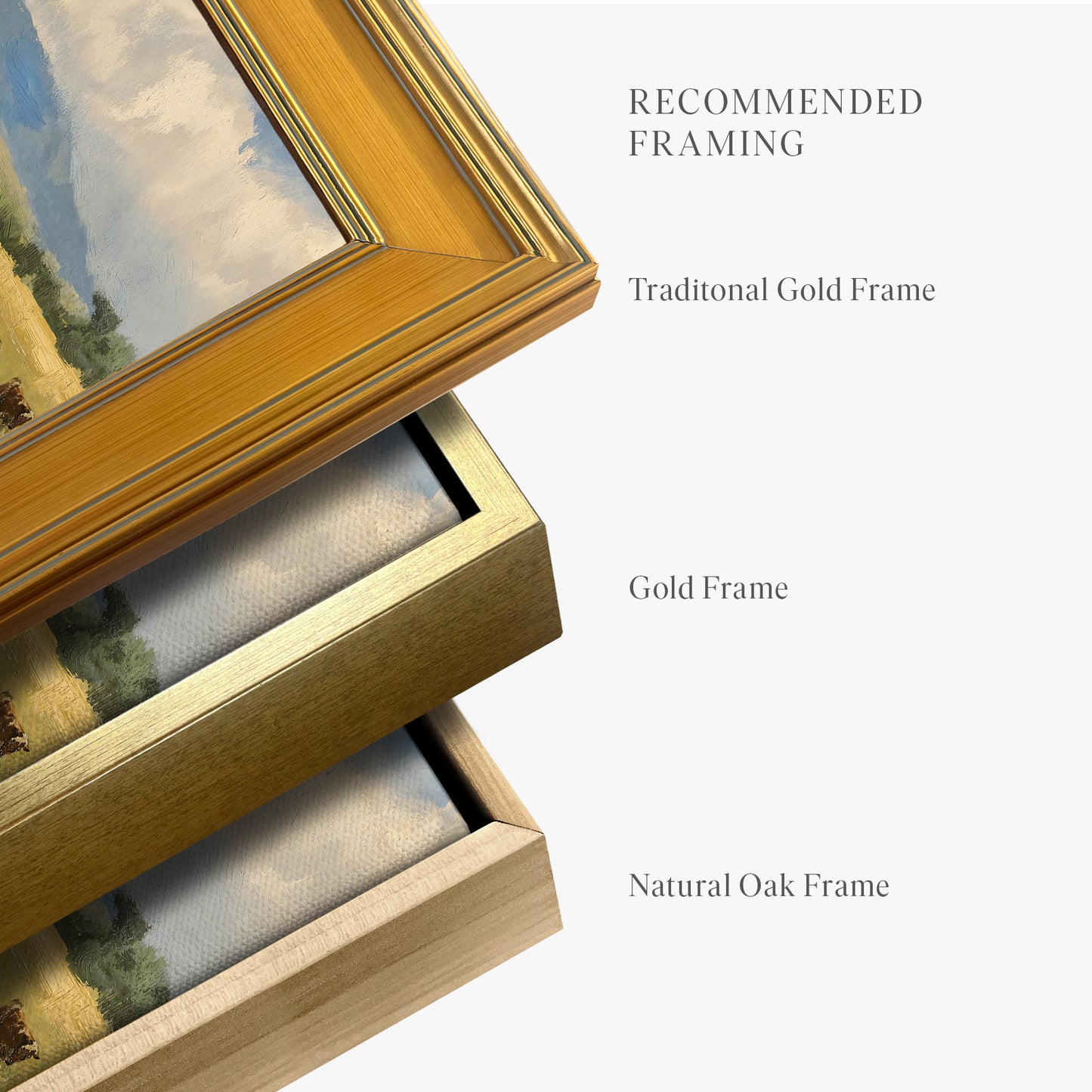framed-canvas