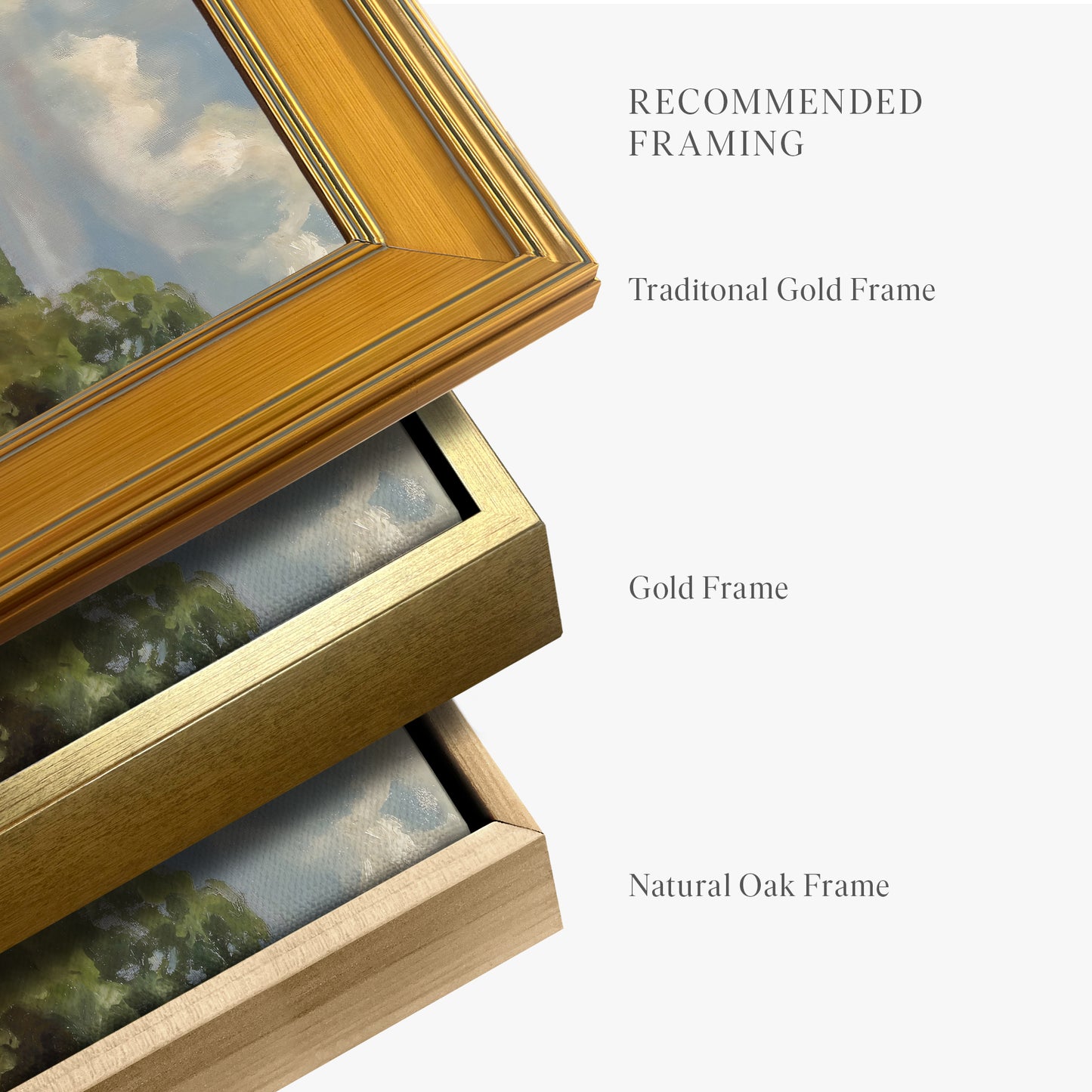 framed-canvas