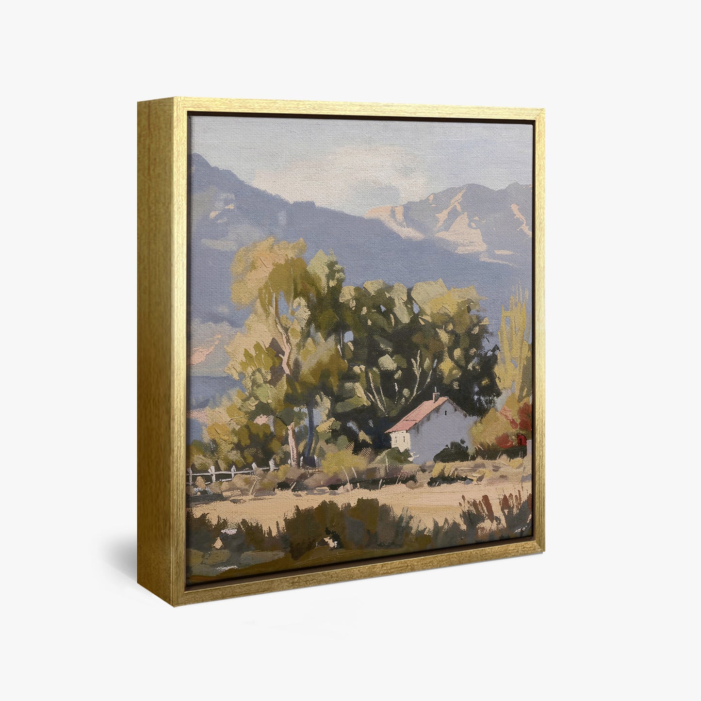 framed-canvas