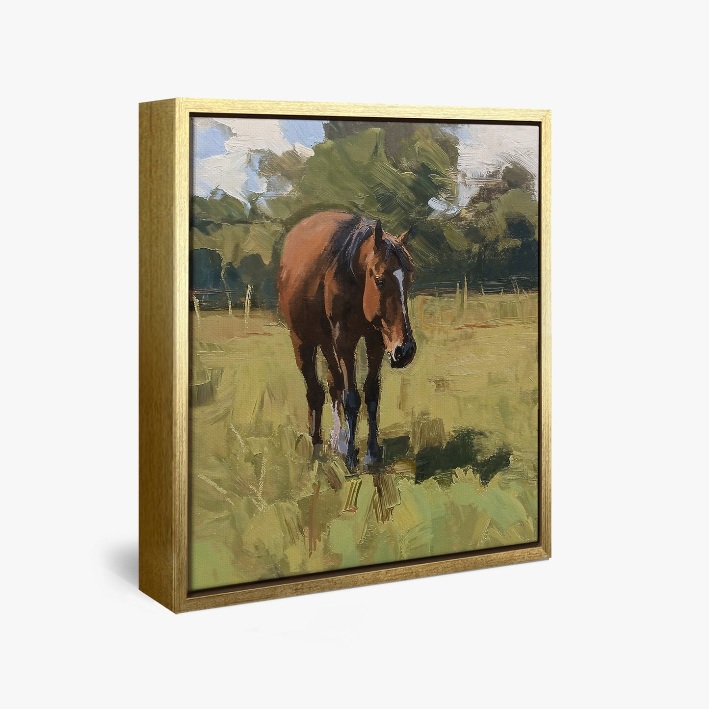 framed-canvas