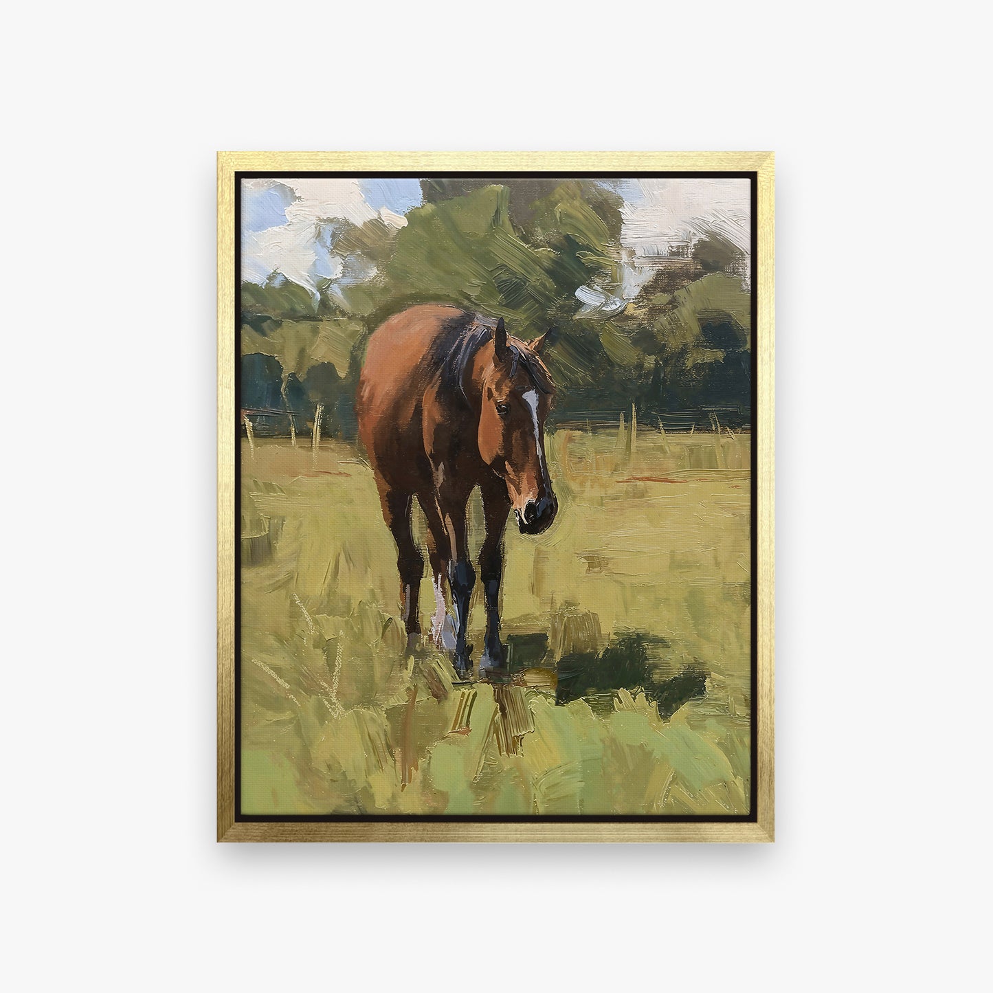 framed-canvas