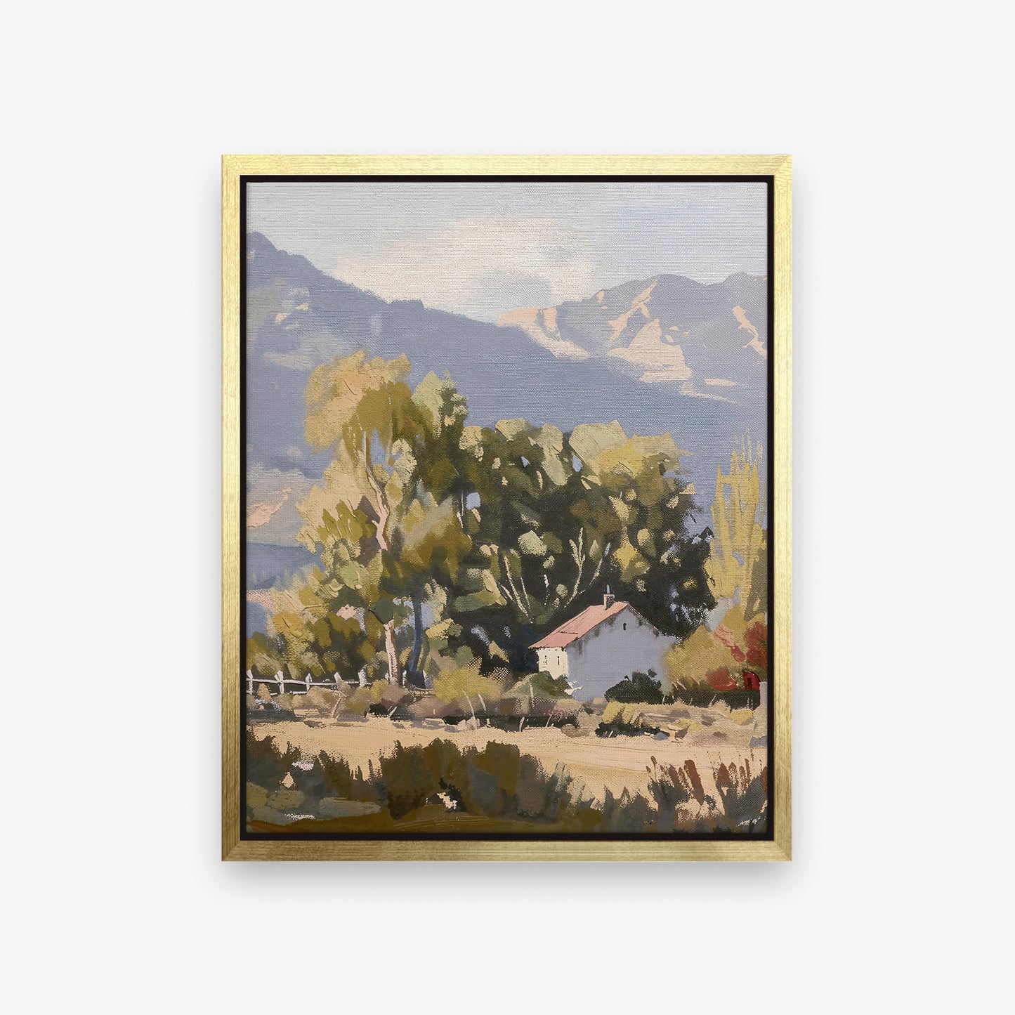 framed-canvas