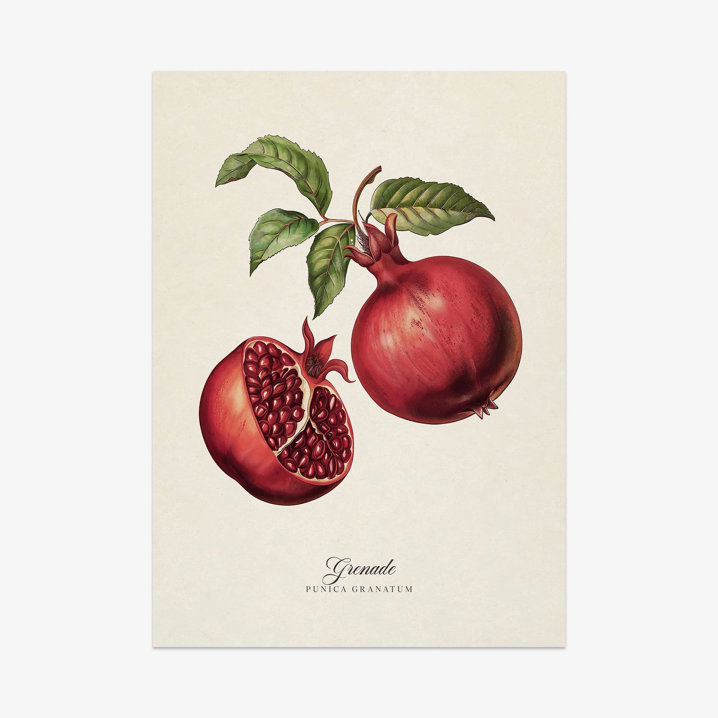 Botanicals: Grenade