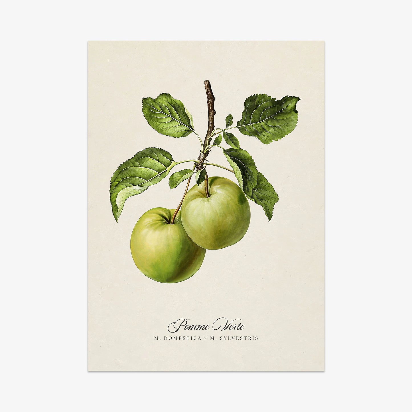 Botanicals: Pomme Verte