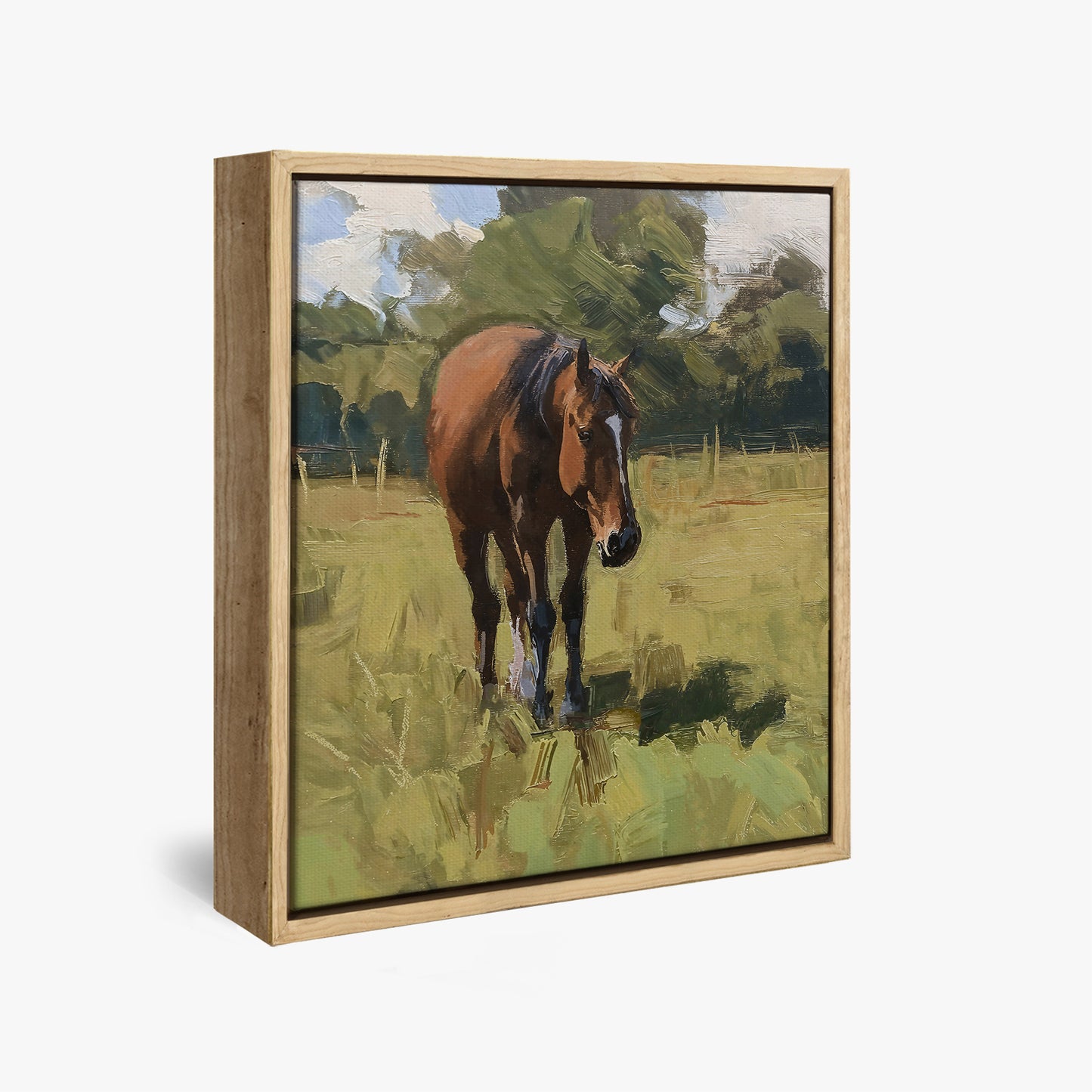framed-canvas