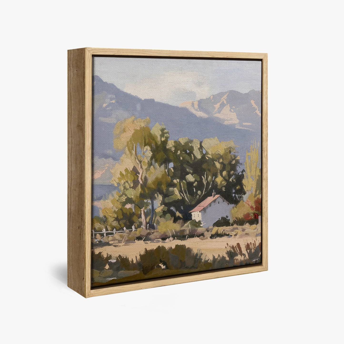 framed-canvas