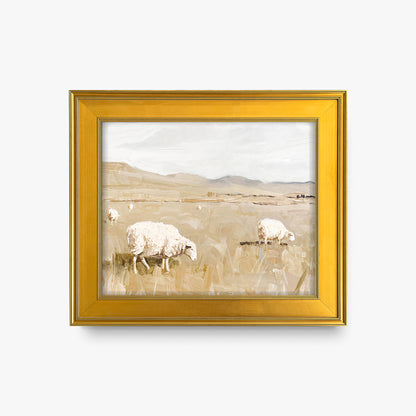Sheep in Field
