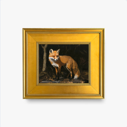 Watchful Fox