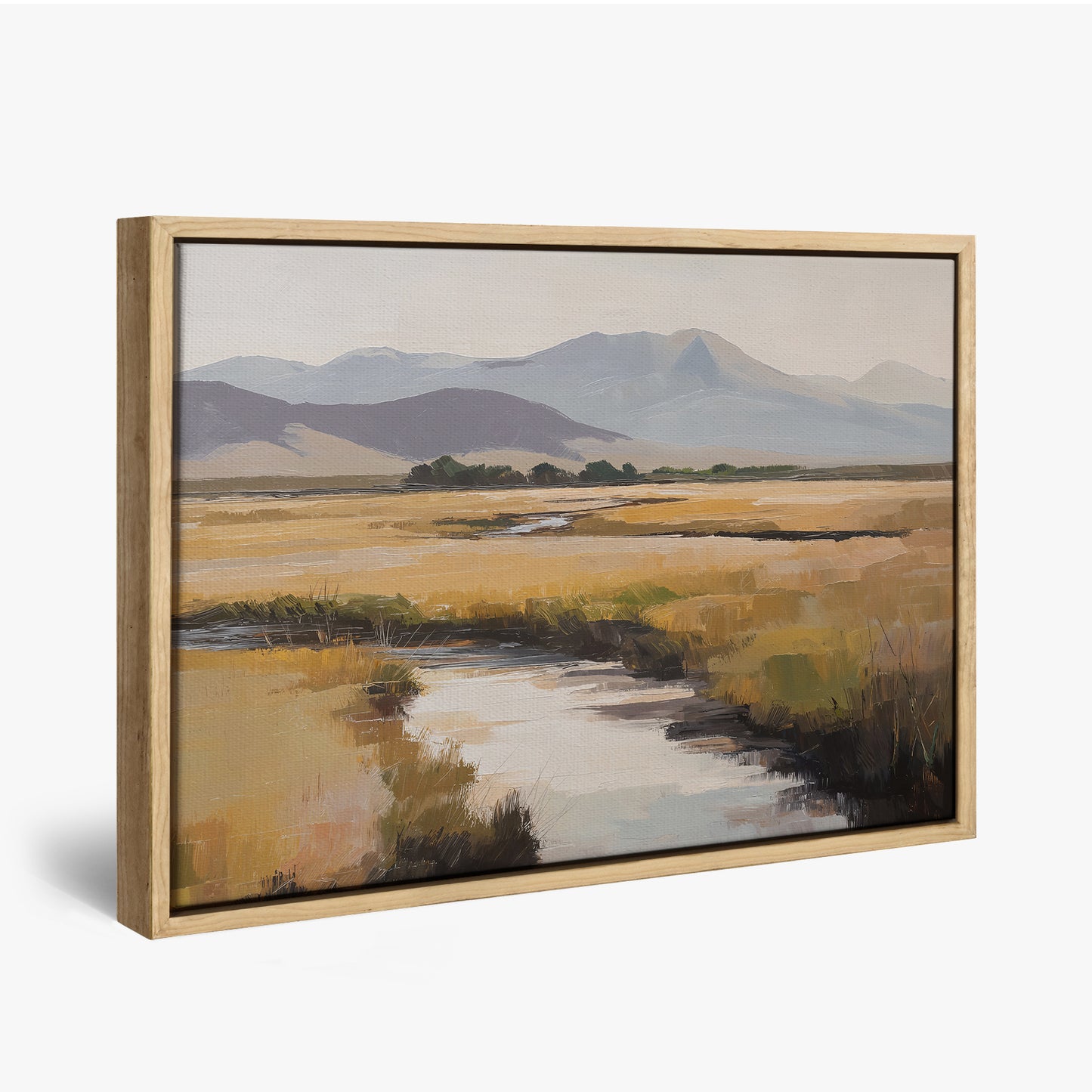 Mountain Valley Stream