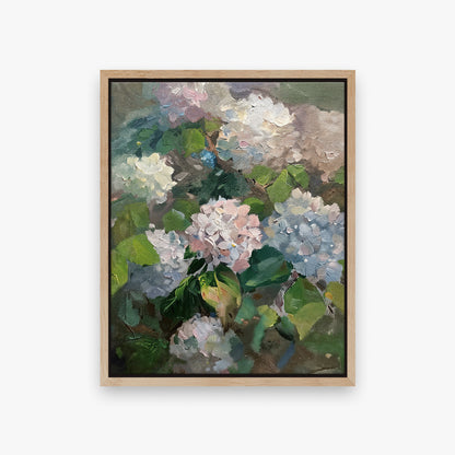 Hydrangea
