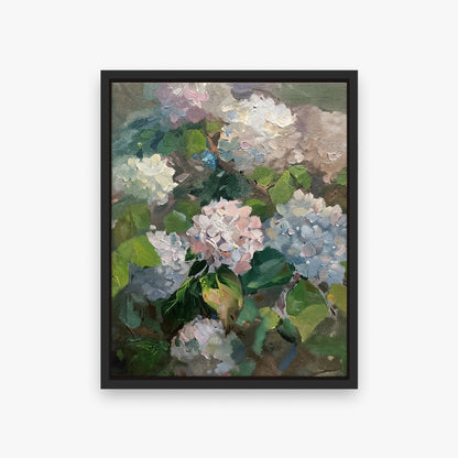 Hydrangea