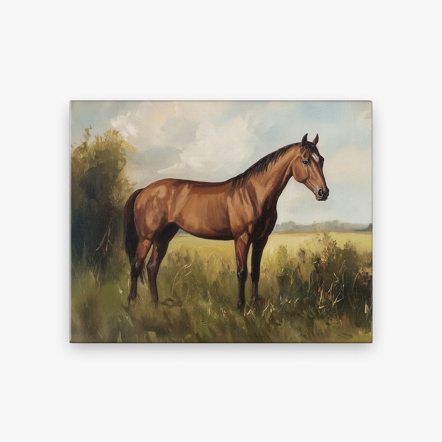 Show Horse