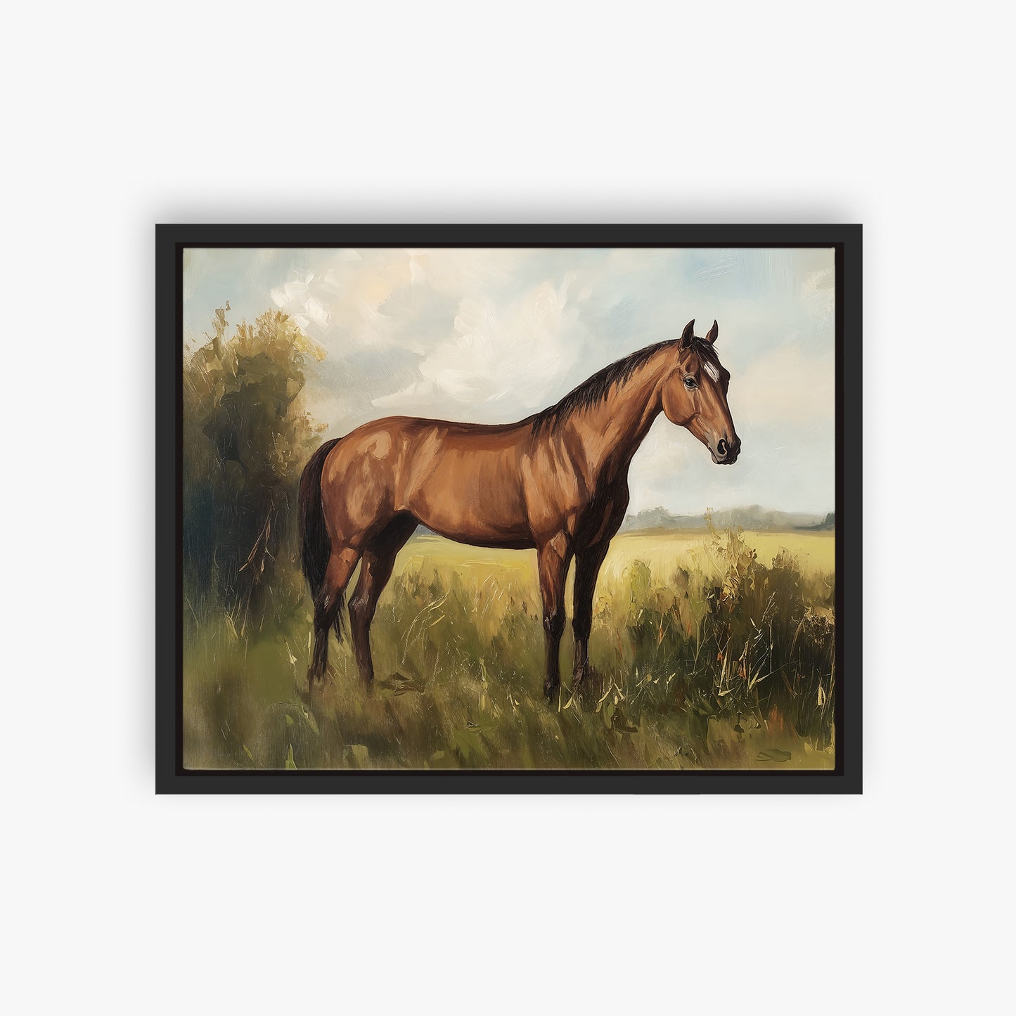 Show Horse