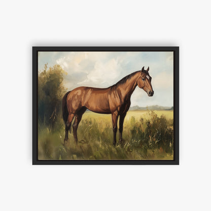 Show Horse