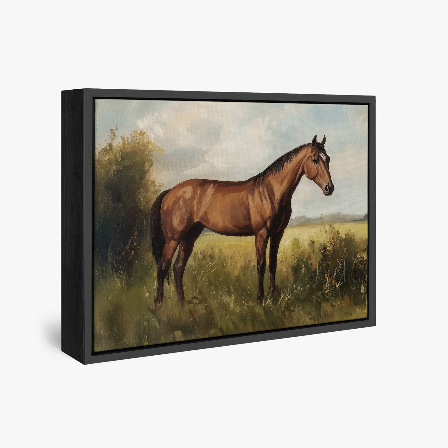 Show Horse