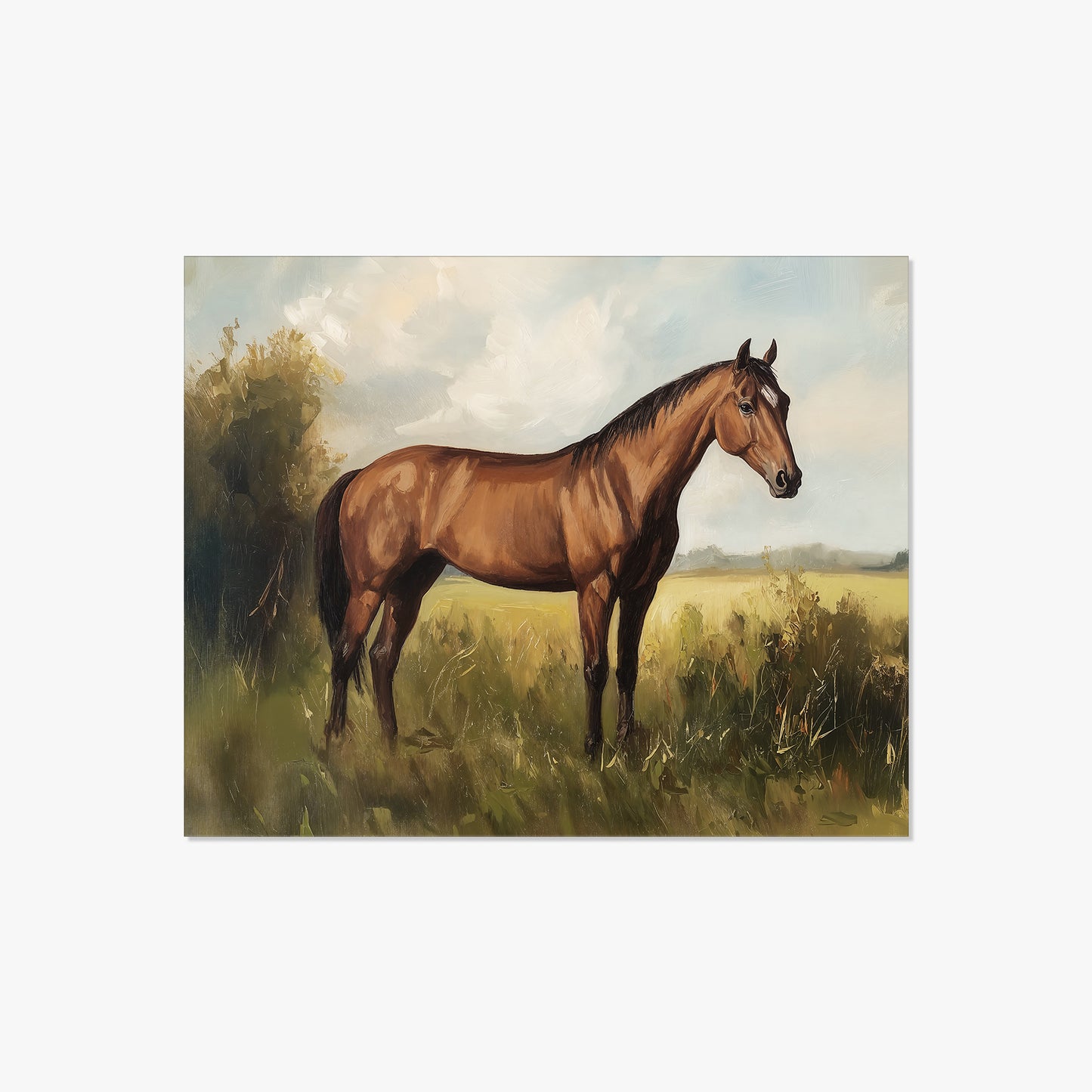 Show Horse