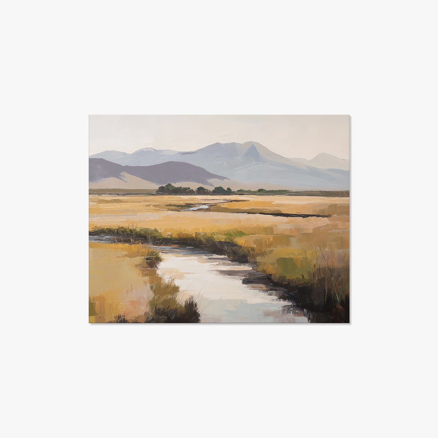 Mountain Valley Stream