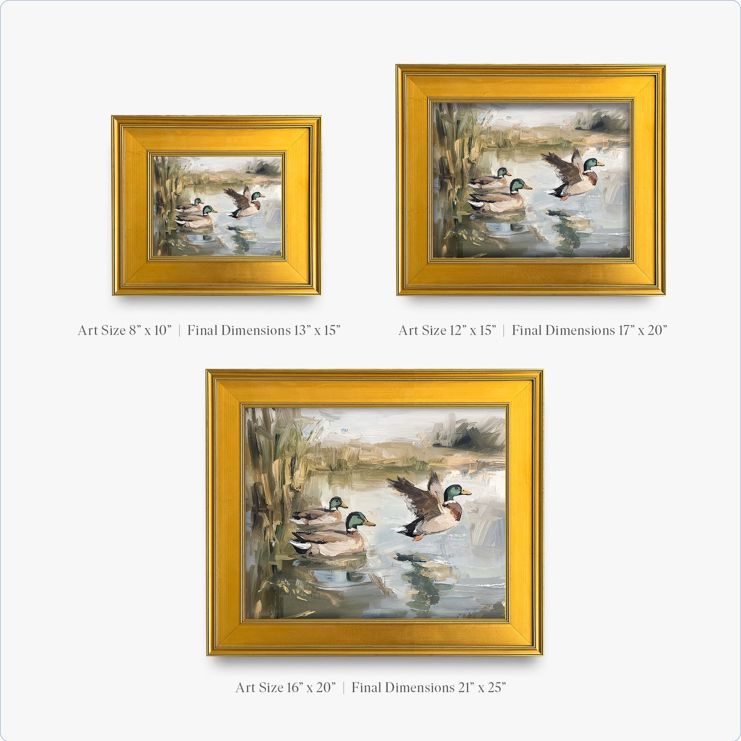 Ducks Wading