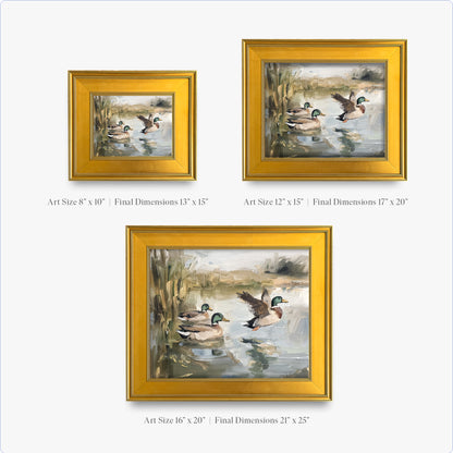 Ducks Wading