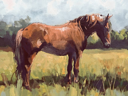 canvas