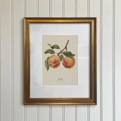 Botanicals: Pêche