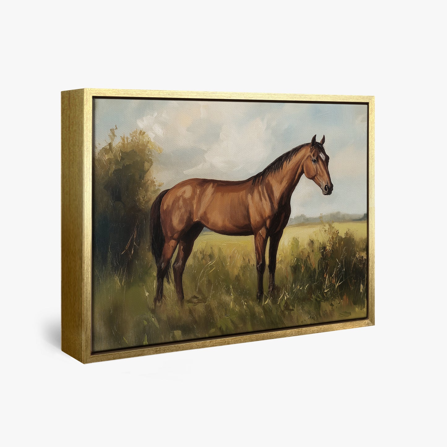 Show Horse