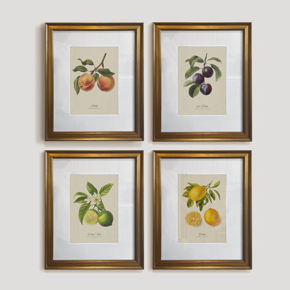Botanicals: Pêche