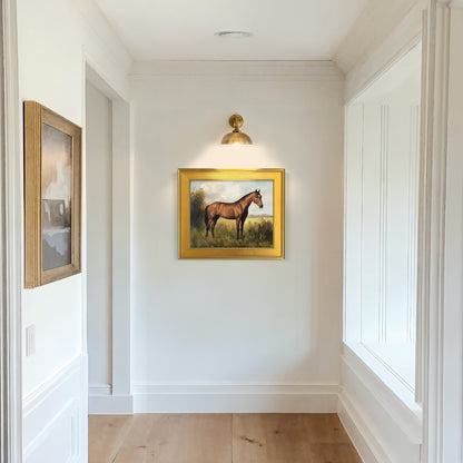 Show Horse