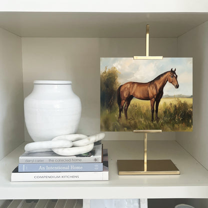 Show Horse