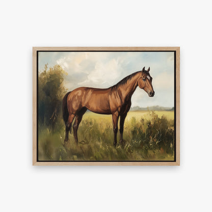 Show Horse