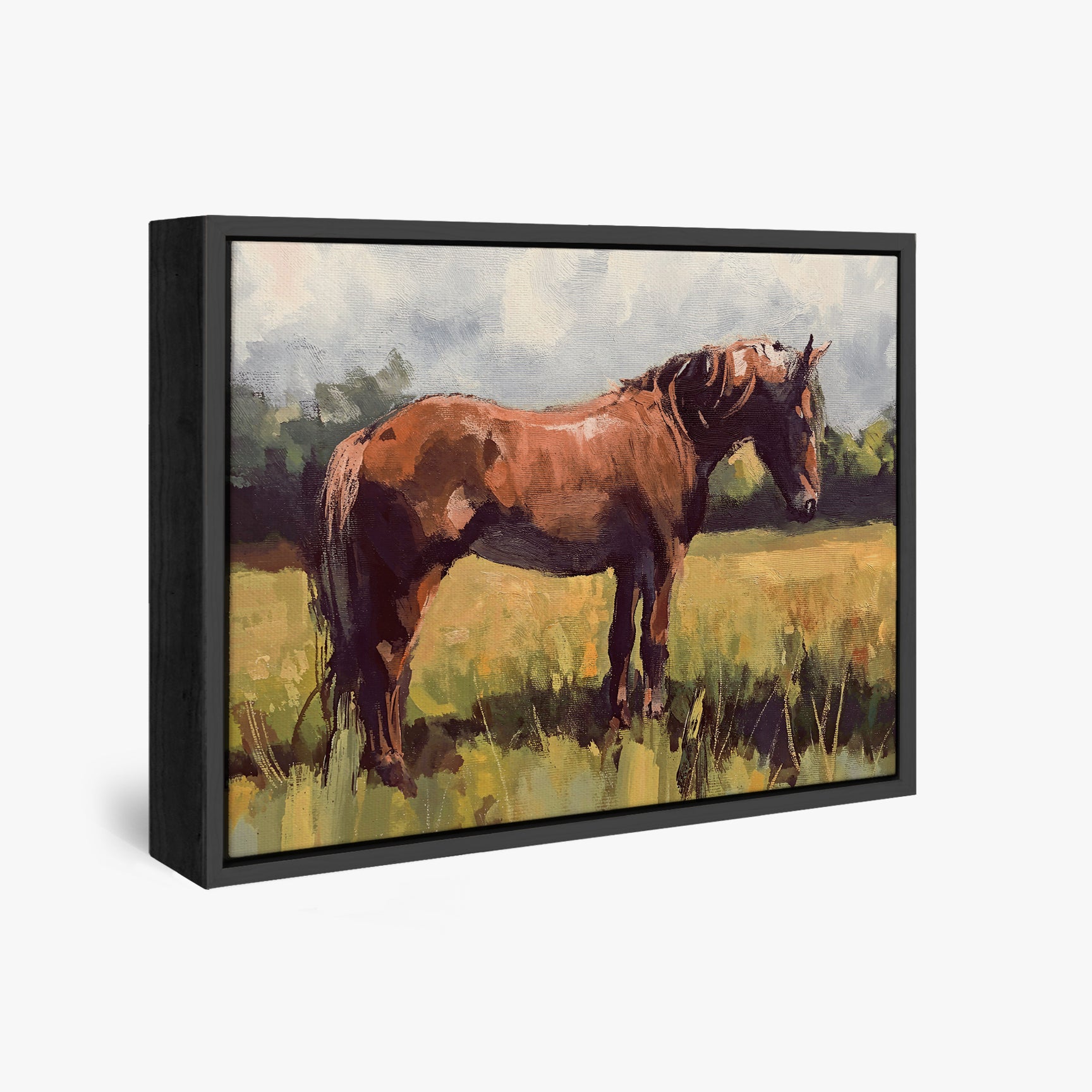framed-canvas