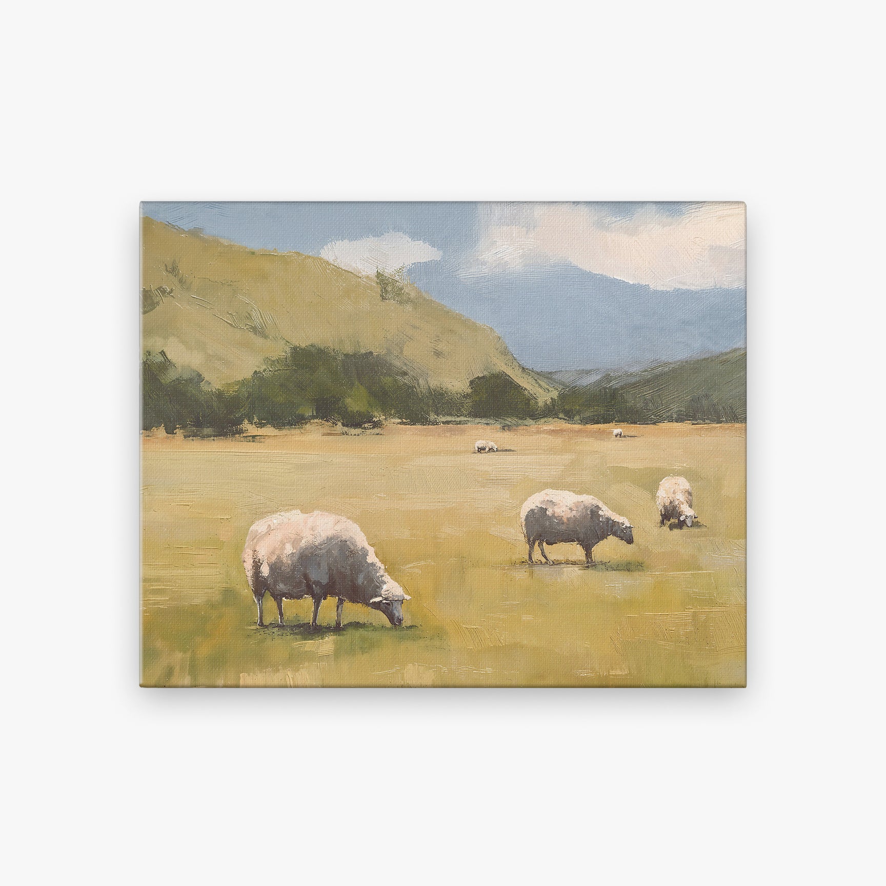 canvas