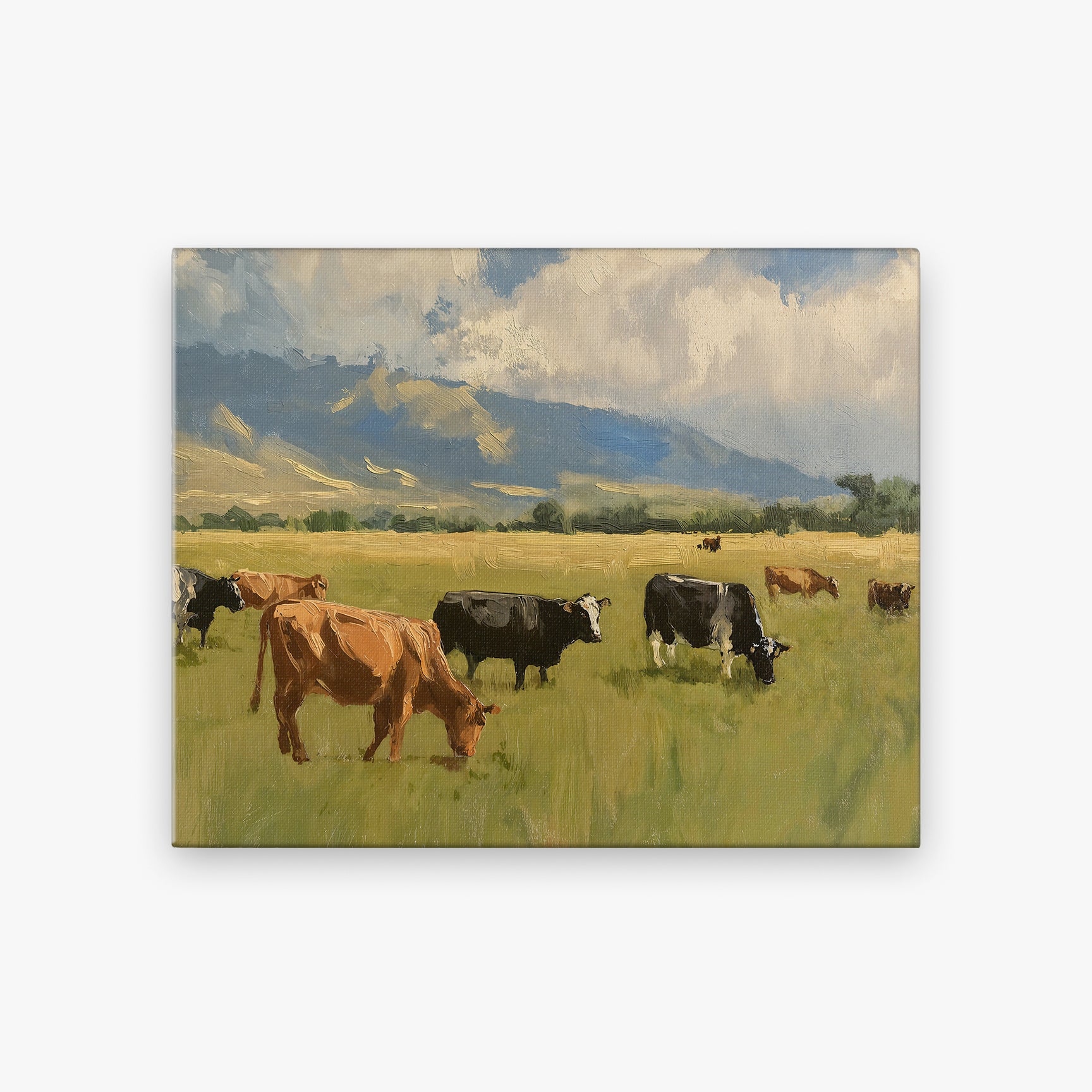 canvas