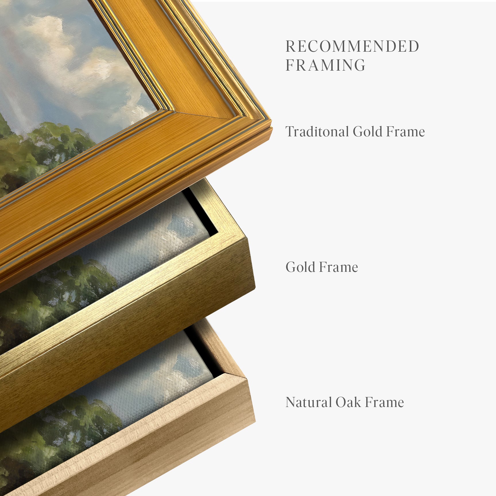 framed-canvas
