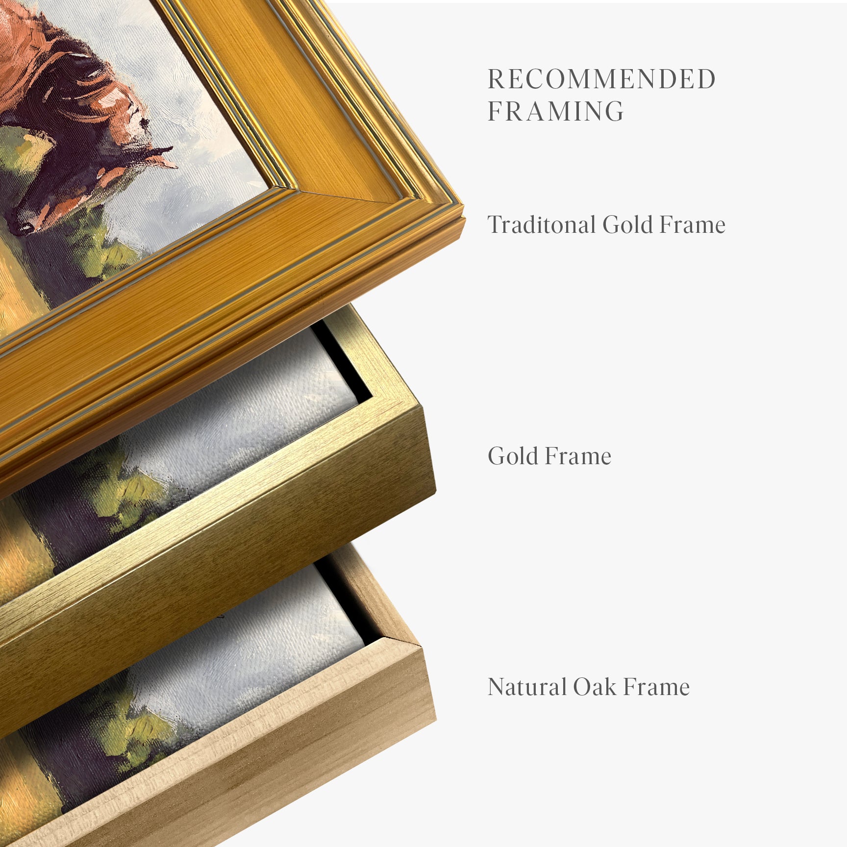 framed-canvas