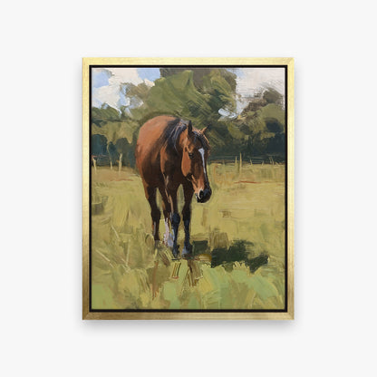 framed-canvas