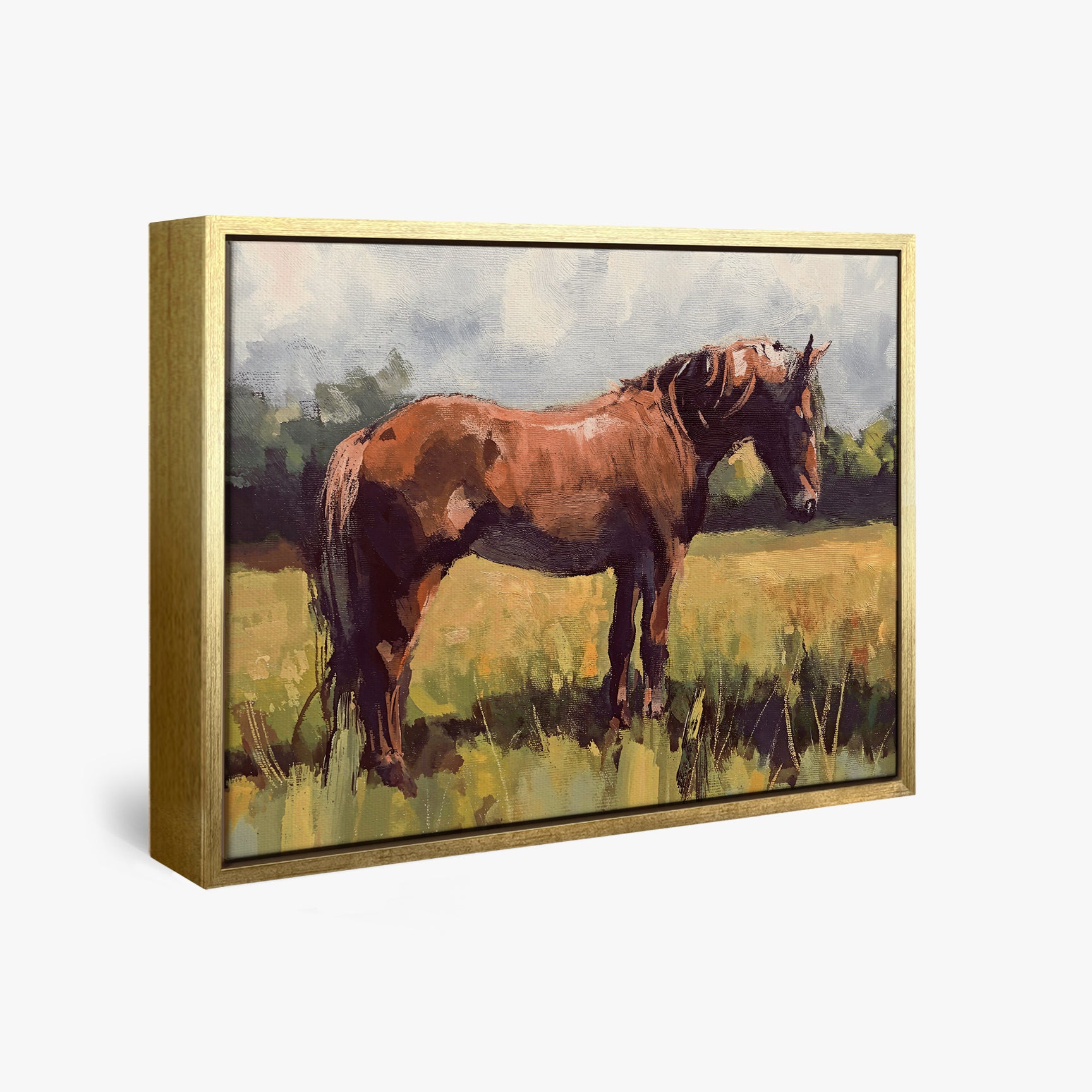 framed-canvas