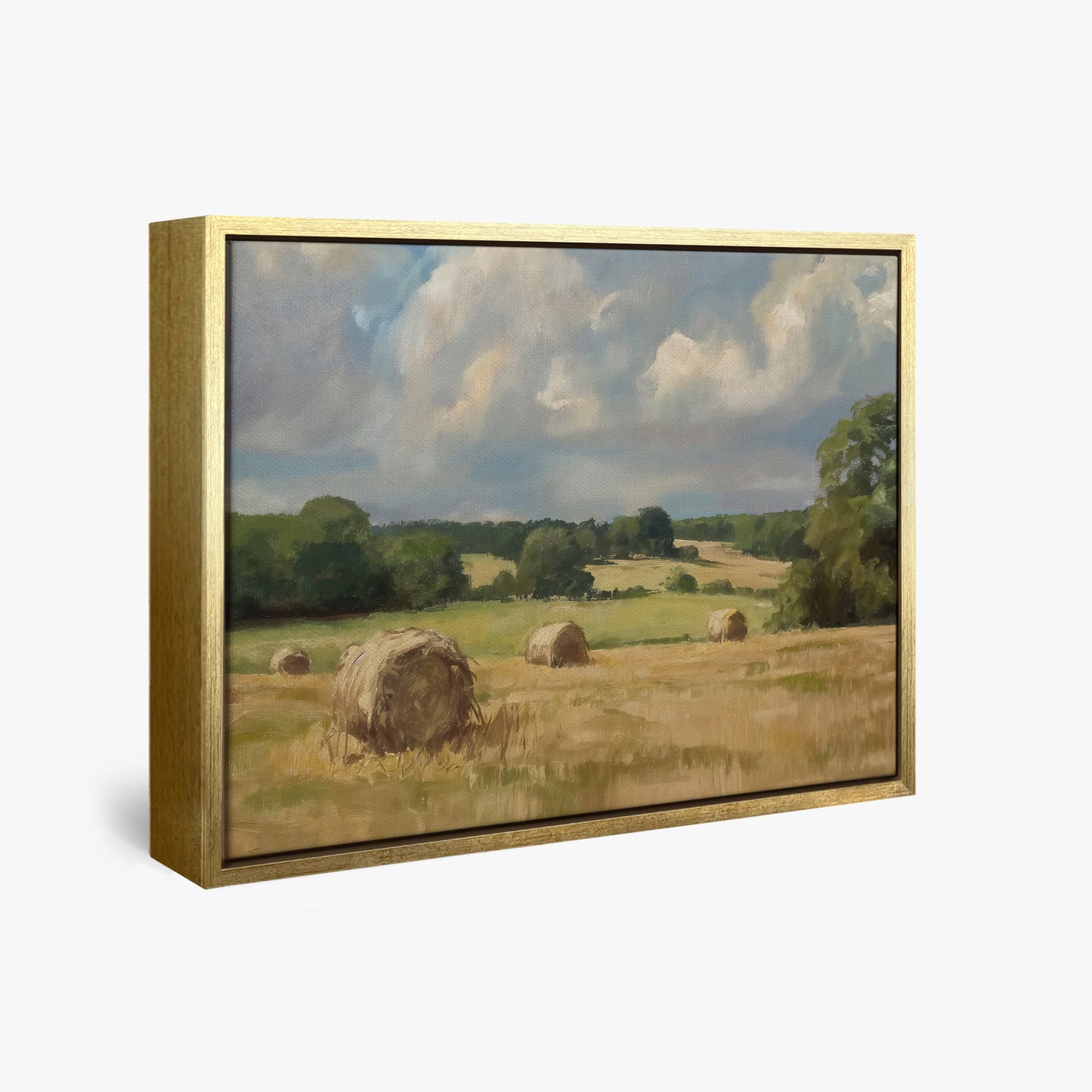 framed-canvas