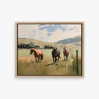 framed-canvas