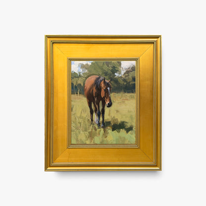 framed-canvas